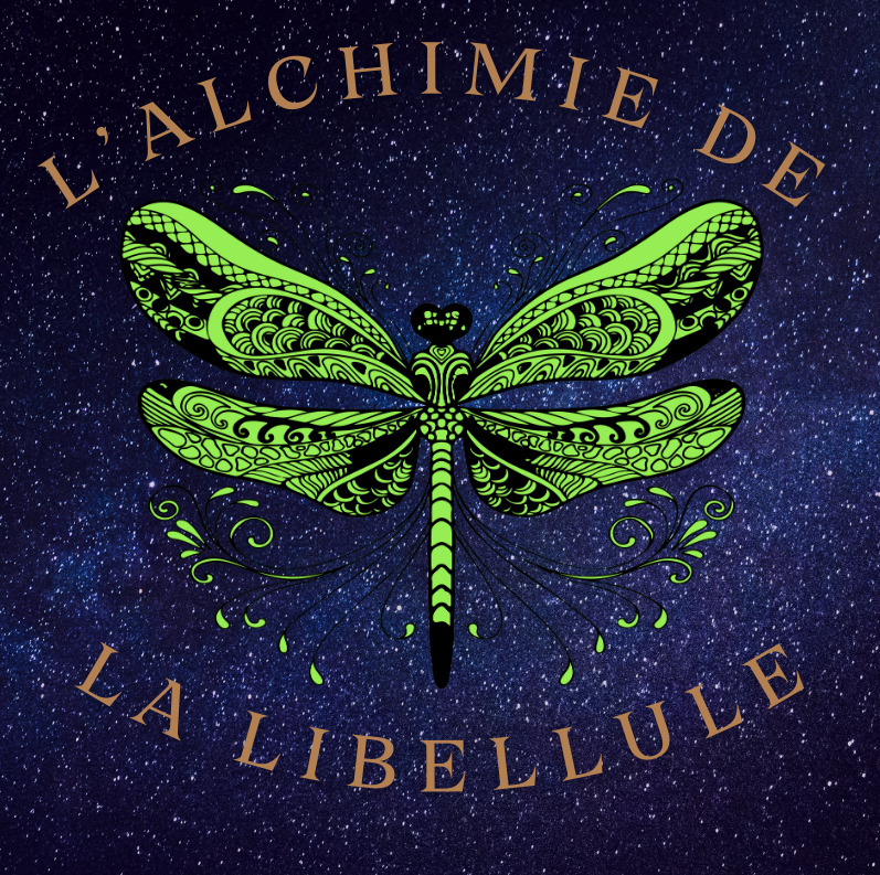 L&rsquo;alchimie de la libellule